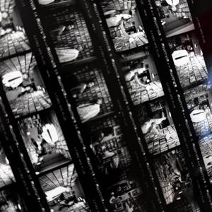 裤裆欢极品另类
